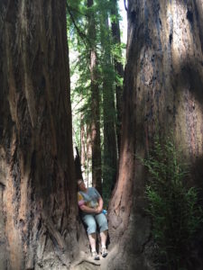 Feeling the peace and serenity a giant Redwood can provide.