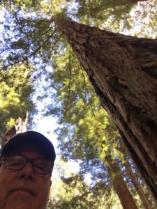 My first "tree selfie" and it was epic!